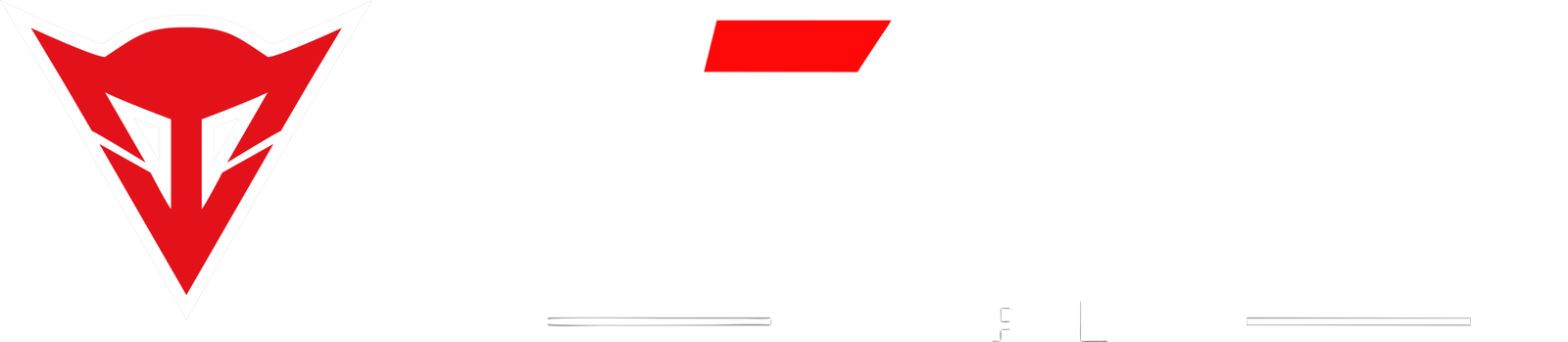 VELOX IMPEX logo