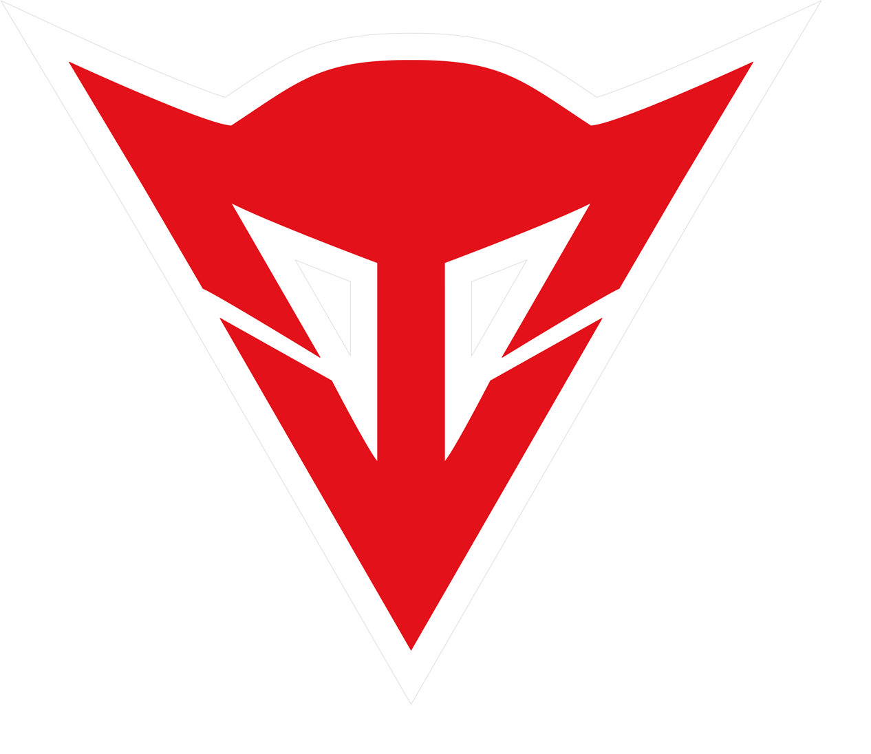 Velox Impex